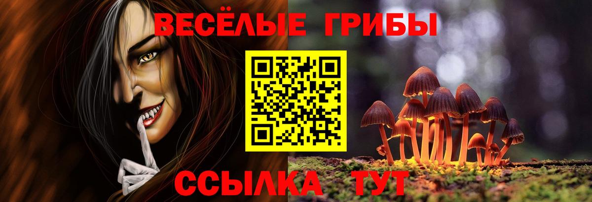 Нижний Тагил  Псилоцибиновые грибы Psilocybe  Вход с VPN  Галлюциногенные грибы Psilocybine cubensis 